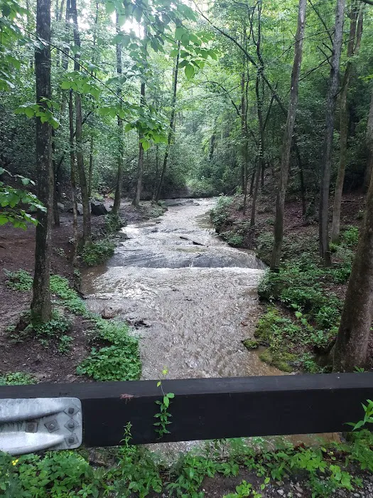 Owls Retreat Campgrounds 3