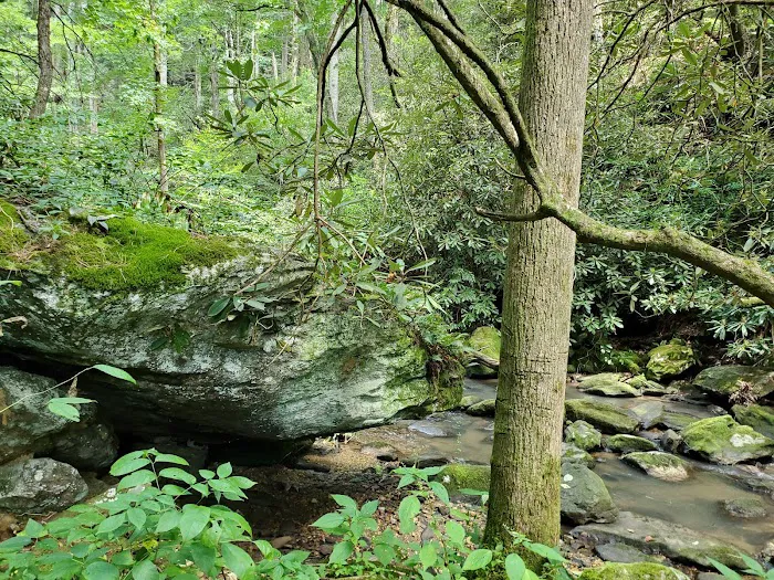Owls Retreat Campgrounds 10