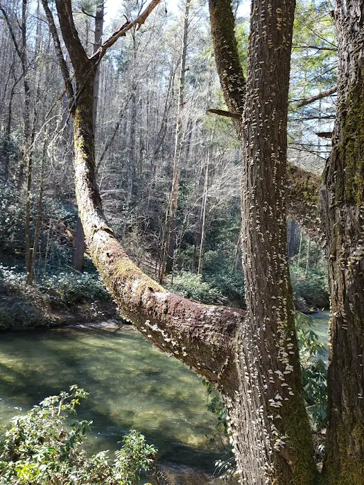 Owls Retreat Campgrounds 17