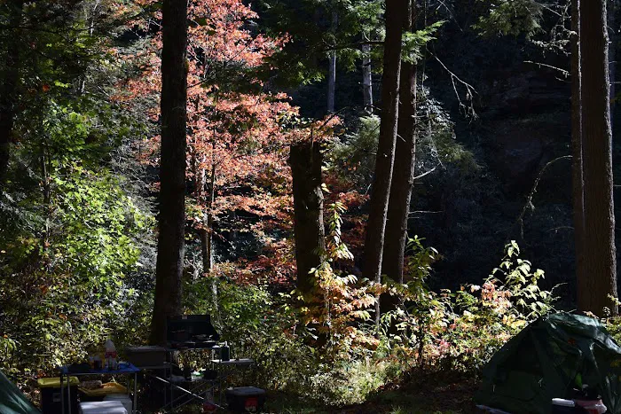 Owls Retreat Campgrounds 19