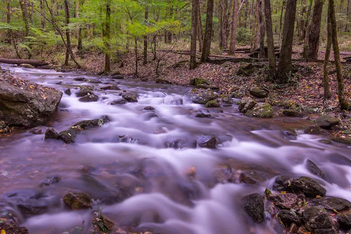 Owls Retreat Campgrounds 26