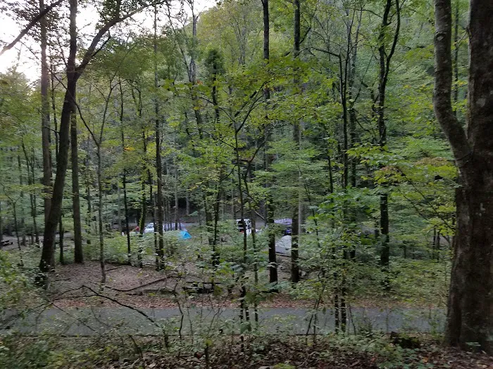 Owls Retreat Campgrounds 27