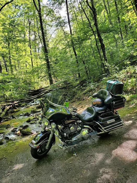 Owls Retreat Campgrounds 29