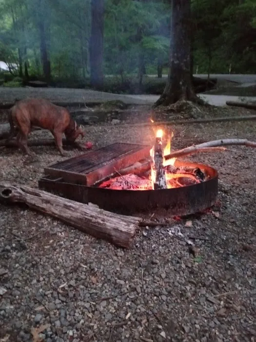 Owls Retreat Campgrounds 30