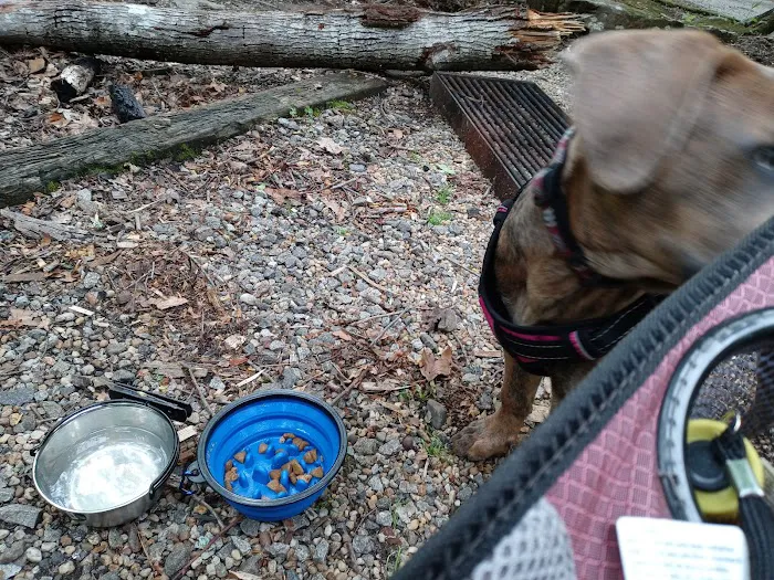 Owls Retreat Campgrounds 32
