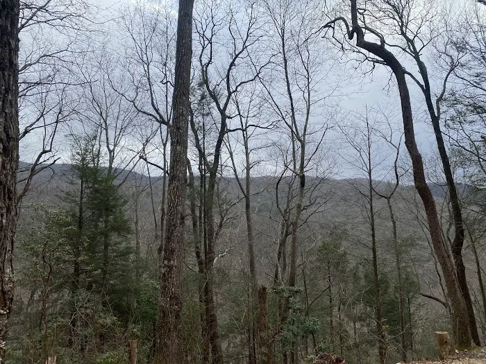 Upper Chattahoochee River Campground 5