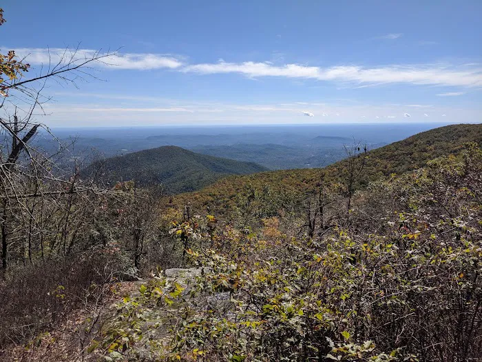 Upper Chattahoochee River Campground 8