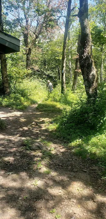 Upper Chattahoochee River Campground 11