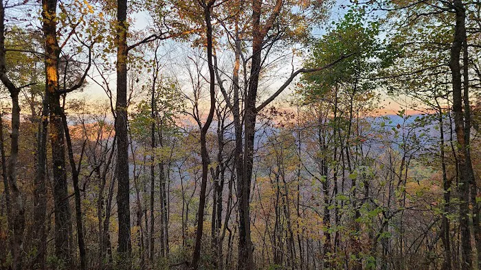 Horsetrough Mtn Campsites 4