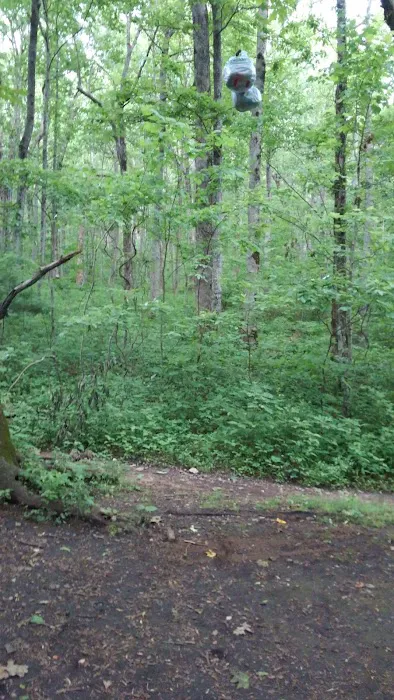 Appalachian Rv Park 2