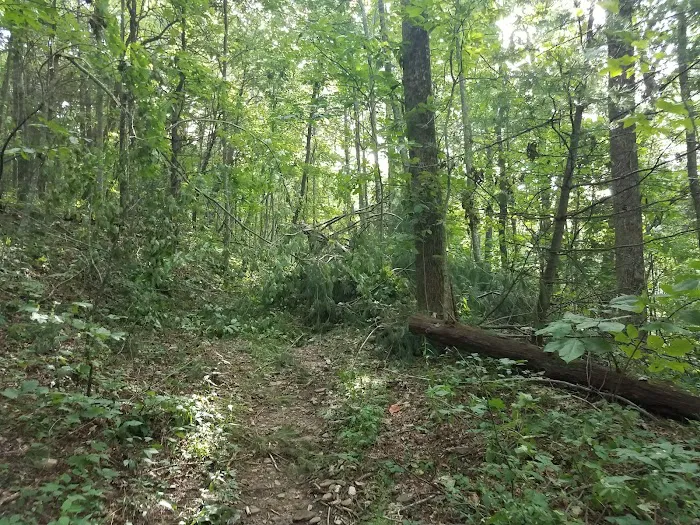 Appalachian Rv Park 5