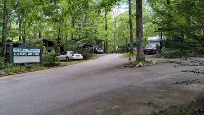 Soapstone Creek Camp Site 3
