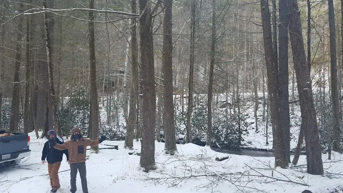 Soapstone Creek Camp Site 4