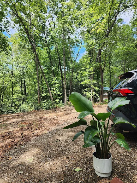 Boone Creek Campground 7