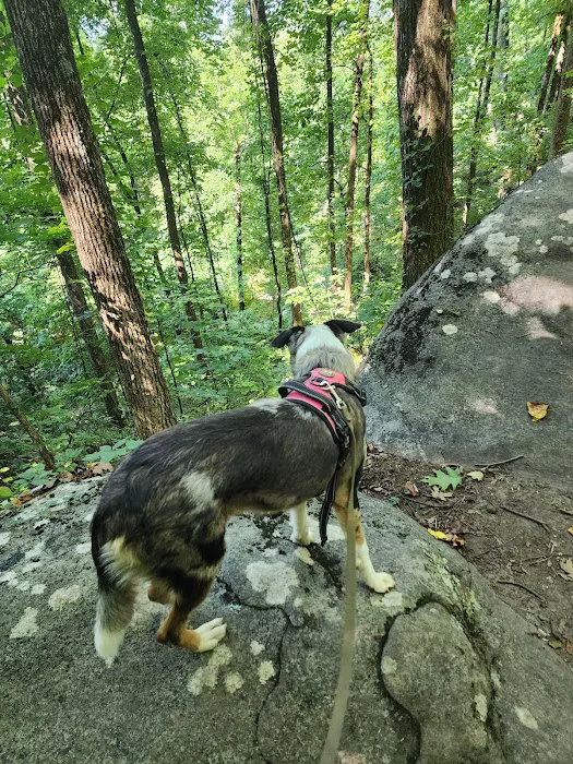 Boone Creek Campground 9