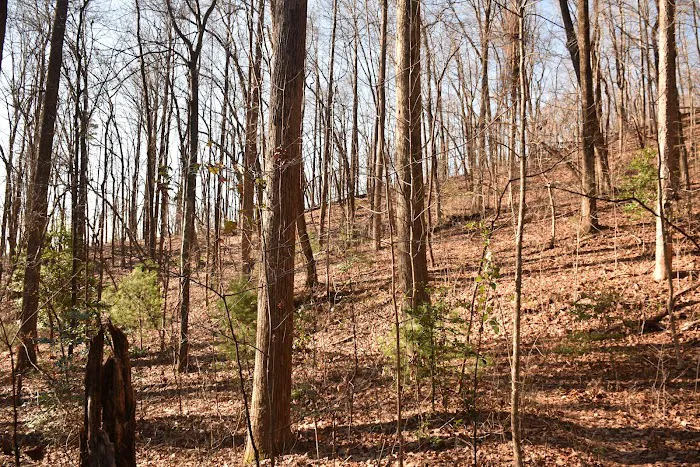 Cherry Hill Recreation Area 1