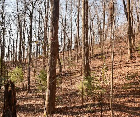 Cherry Hill Recreation Area