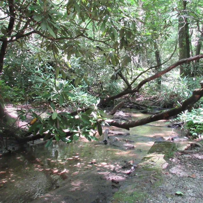 Cherry Hill Recreation Area 5