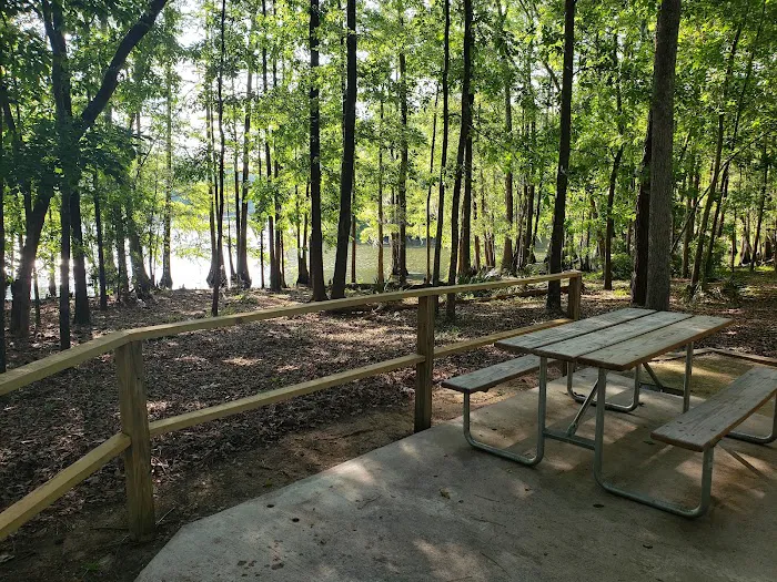 Cypress View Campground 3