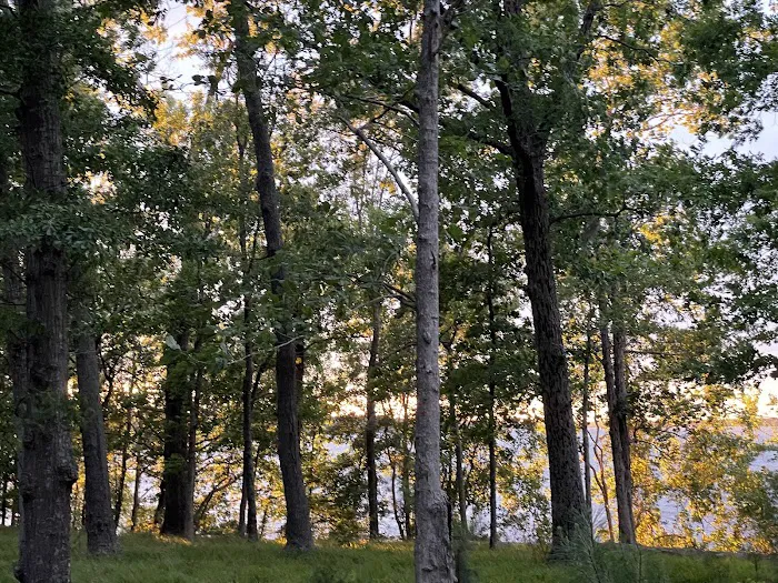 Cypress View Campground 10