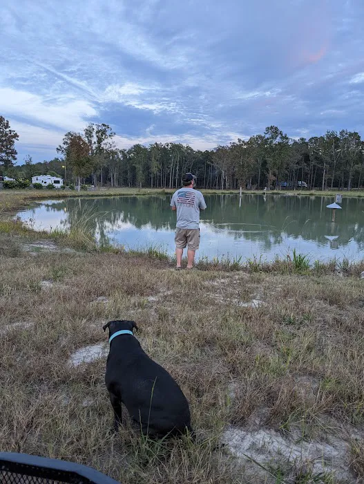 Carolina King Stop & Fish RV Park 5