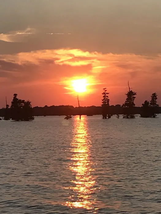 Elliott's Landing and Campground 5