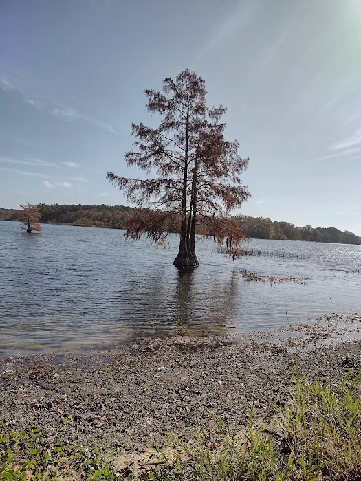 Taw Caw Campground & Marina 8