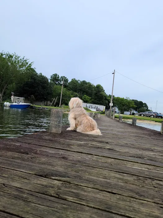 Mac's Camp Landing 4
