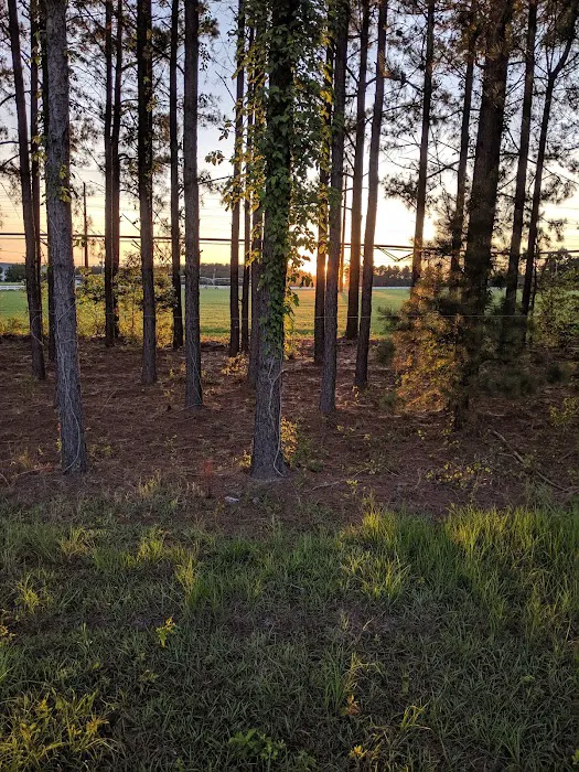 River Oaks Campground 6