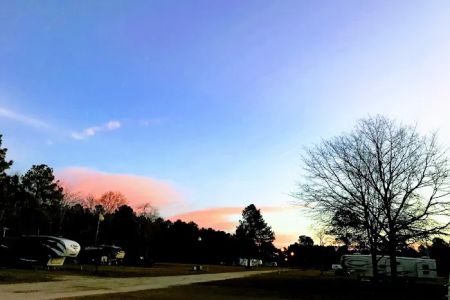 Proett Plantation