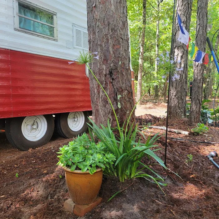 Woodlands Hollow Nature Retreat 4