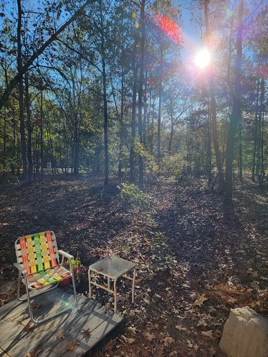 Woodlands Hollow Nature Retreat 9