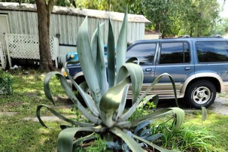 McGregor Downs Mobile Home Pk