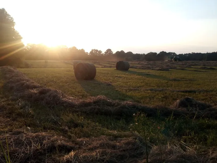 Rolling Hills Village 7