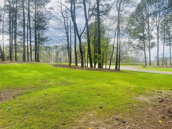 Rolling Hills Village 10