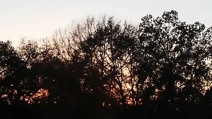 Cove Mobile Home Park 9