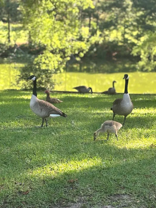 Cotton Creek Mobile Home Community 1