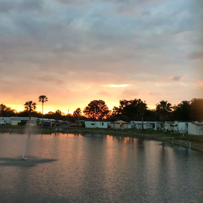 Palm View Gardens RV Resort 6