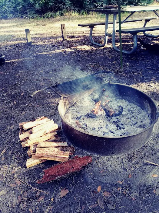 Yellow Loop Campground South 2