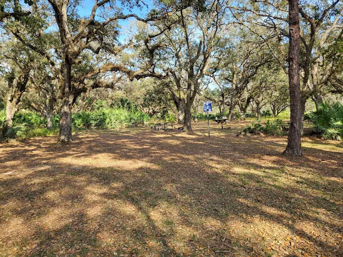 Yellow Loop Campground South 3