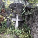 Fish Hawk Pond Campsite