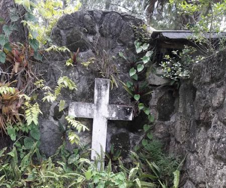 Fish Hawk Pond Campsite