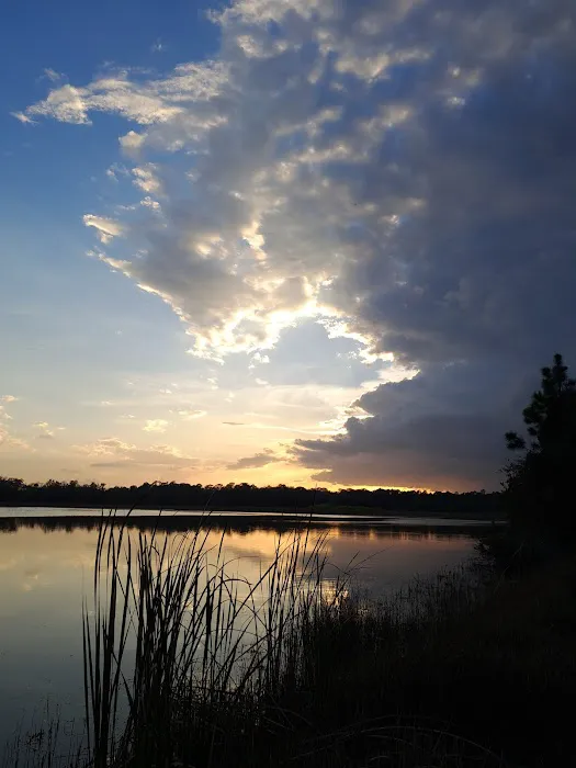 Fish Hawk Pond Campsite 8