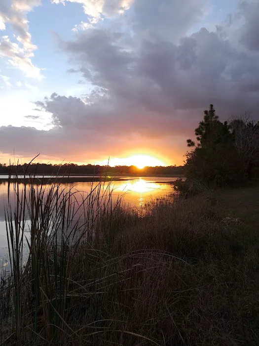 Fish Hawk Pond Campsite 10