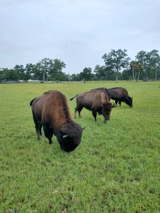 Tosohatchee Youth Camp 8
