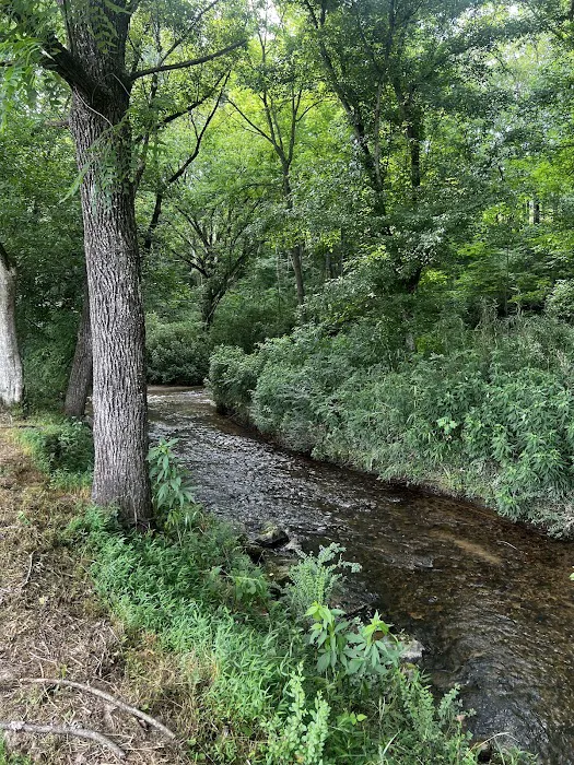 Blue Ridge RV Resort 7
