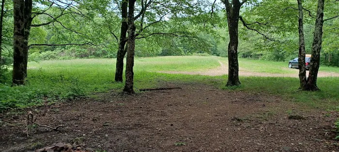 Ball Field Dispersed Camping Area (recgovnpsdata) 3
