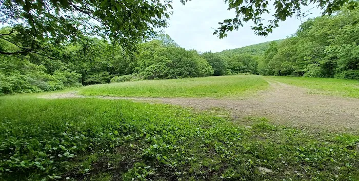 Ball Field Dispersed Camping Area (recgovnpsdata) 6