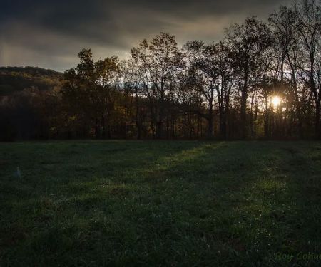 Public Camping Field