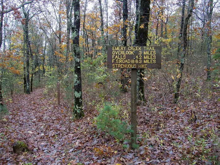 Public Camping Field 5